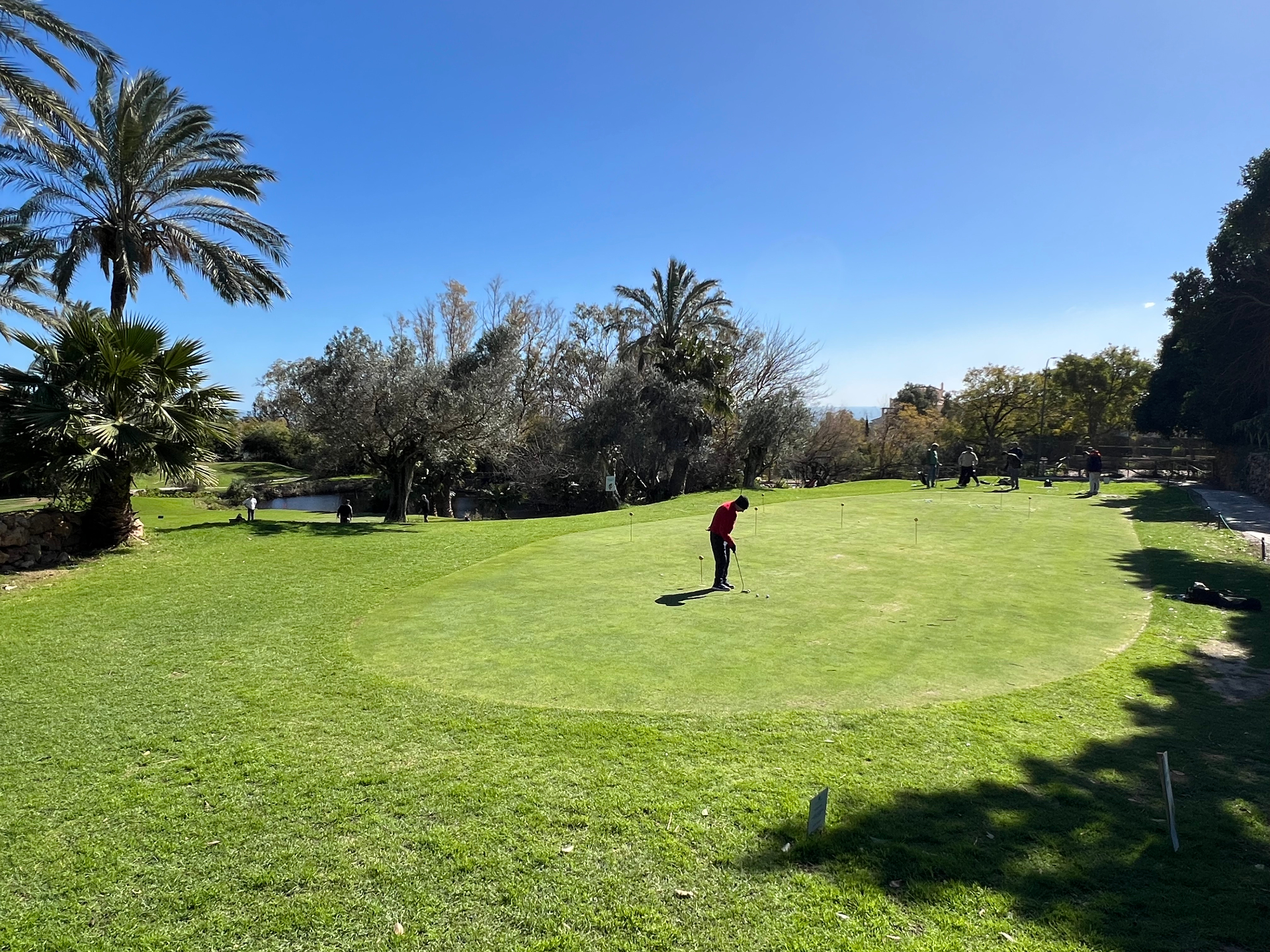 Golfers on the green at Benalmádena Golf